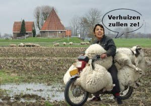 verhuizen zullen ze jetta